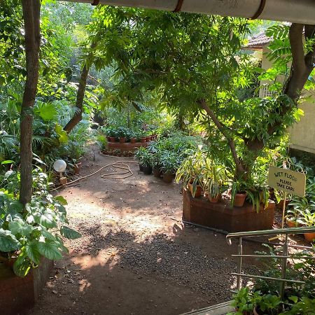 Peace Lily Cottage Карджат Екстериор снимка