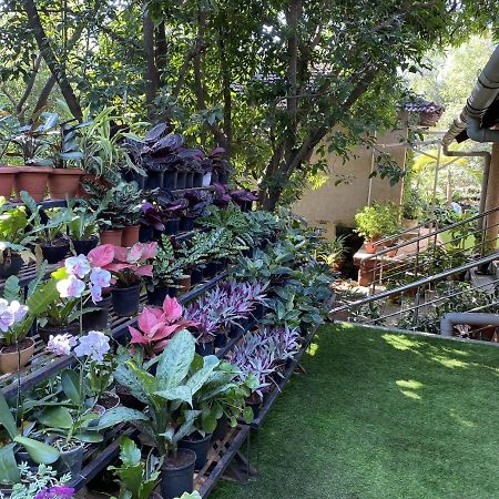 Peace Lily Cottage Карджат Екстериор снимка