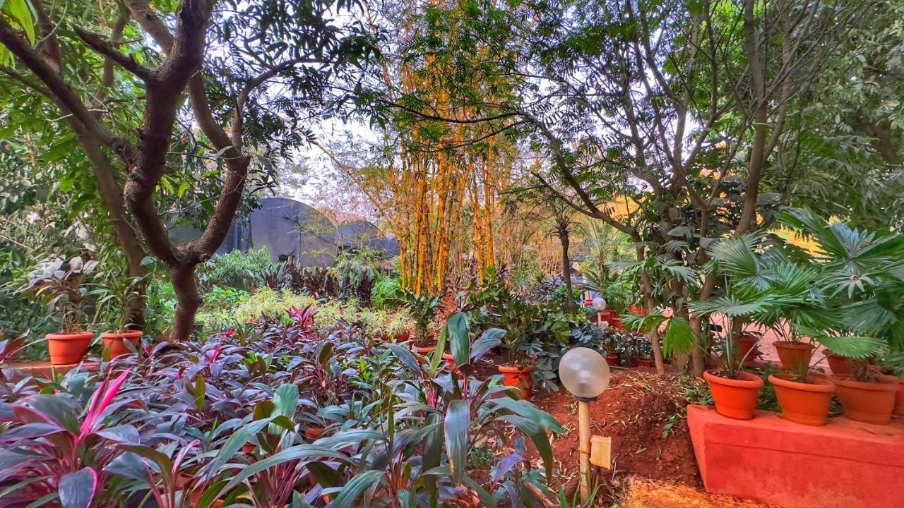 Peace Lily Cottage Карджат Екстериор снимка
